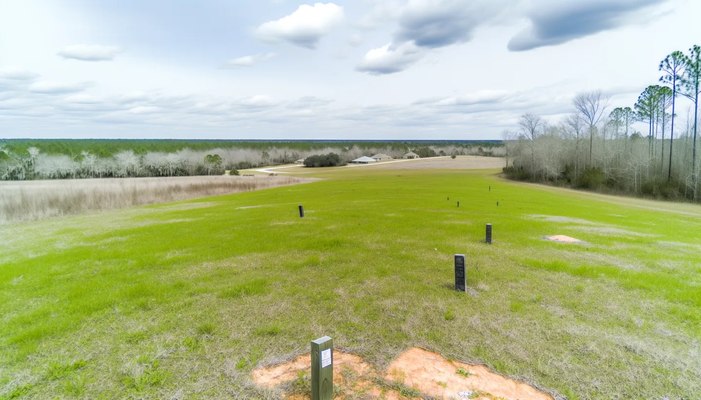 Vacant land parcel for sale in Brantley County, Georgia