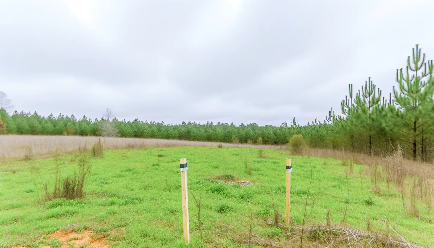 Vacant land parcel for sale in Gilmer County, Georgia